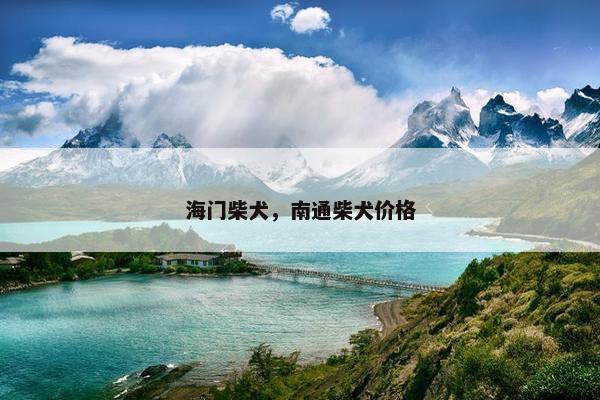 海门柴犬，南通柴犬价格