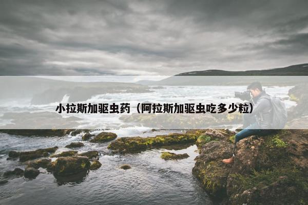 小拉斯加驱虫药(阿拉斯加驱虫吃多少粒)