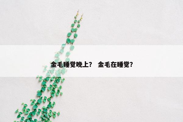 金毛睡觉晚上? 金毛在睡觉?