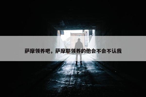 萨摩领养吧,萨摩耶领养的他会不会不认我