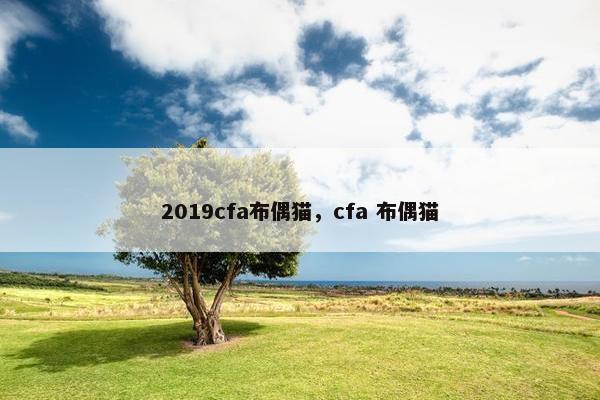 2019cfa布偶猫,cfa 布偶猫