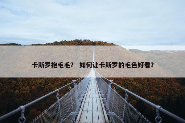 卡斯罗抱毛毛? 如何让卡斯罗的毛色好看?