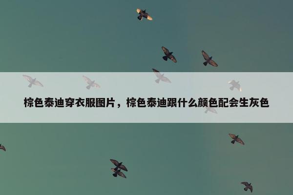 棕色泰迪穿衣服图片，棕色泰迪跟什么颜色配会生灰色