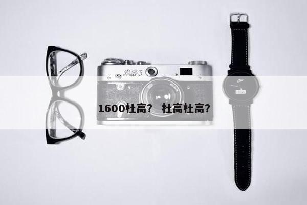 1600杜高？ 杜高杜高？