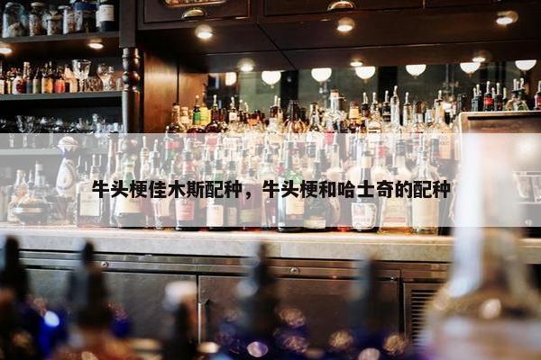 牛头梗佳木斯配种，牛头梗和哈士奇的配种