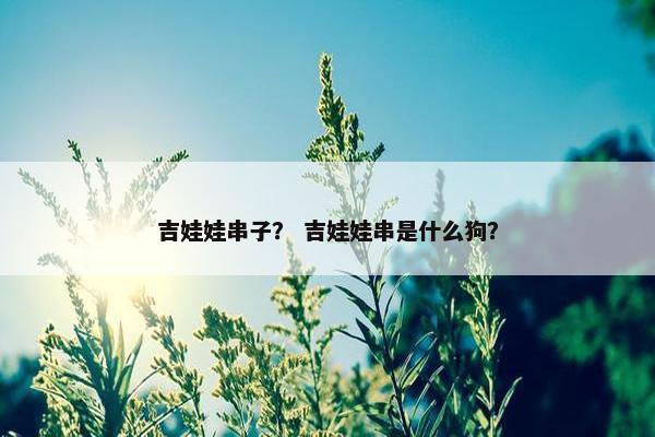 吉娃娃串子？ 吉娃娃串是什么狗？