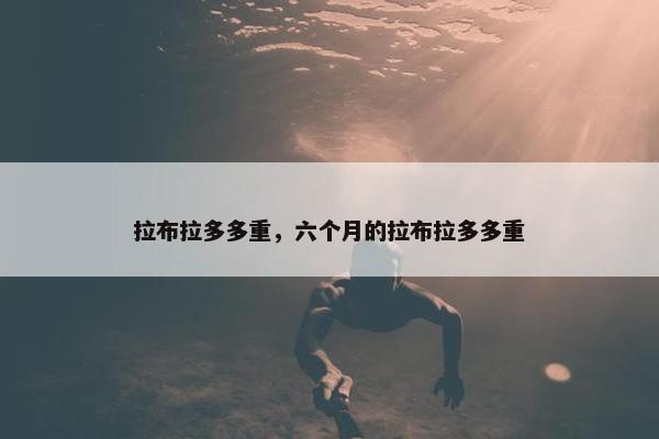 拉布拉多多重，六个月的拉布拉多多重