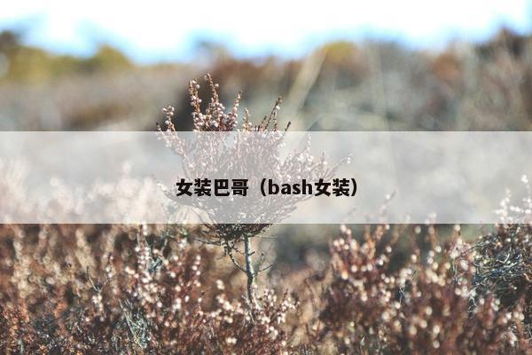 女装巴哥(bash女装)