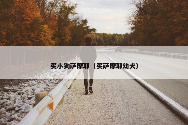 买小狗萨摩耶(买萨摩耶幼犬)
