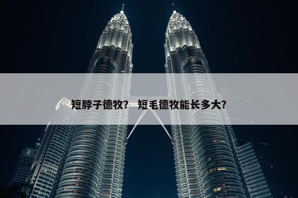 短脖子德牧? 短毛德牧能长多大?