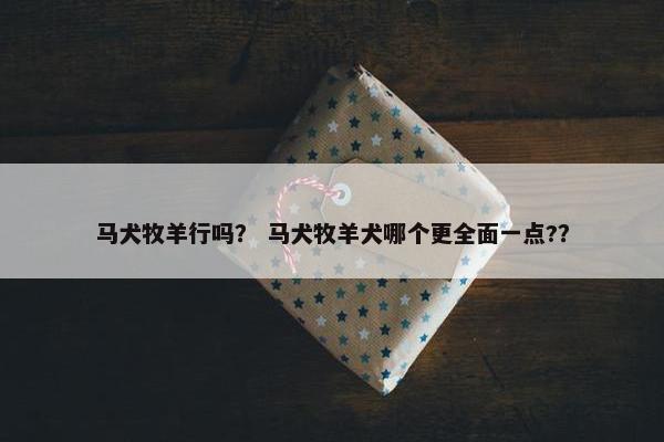 马犬牧羊行吗？ 马犬牧羊犬哪个更全面一点?？