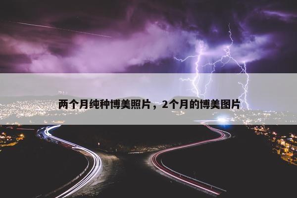 两个月纯种博美照片,2个月的博美图片