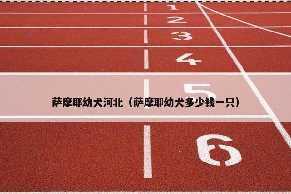 萨摩耶幼犬河北（萨摩耶幼犬多少钱一只）