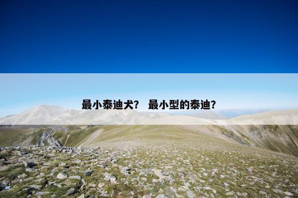 最小泰迪犬? 最小型的泰迪?