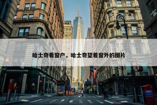 哈士奇看窗户，哈士奇望着窗外的图片