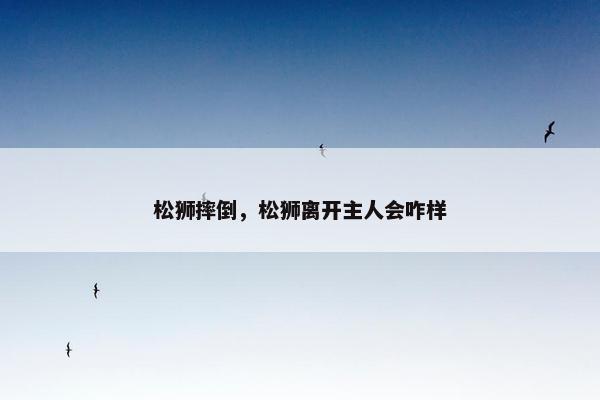 松狮摔倒，松狮离开主人会咋样