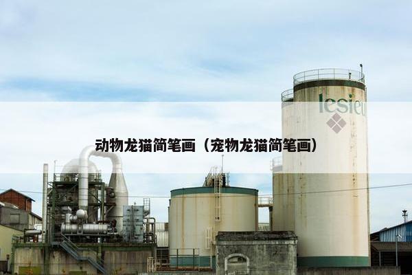 动物龙猫简笔画（宠物龙猫简笔画）