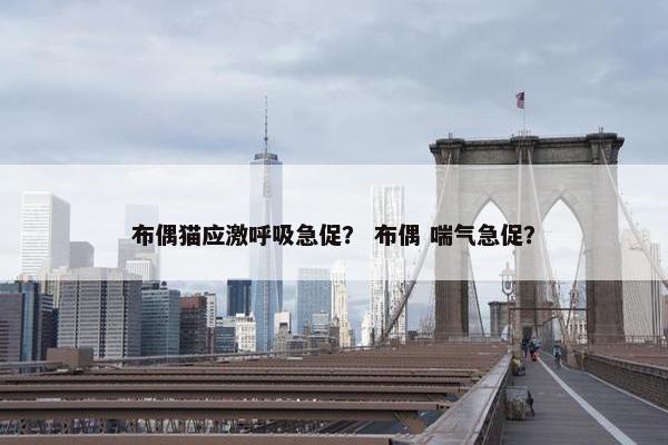 布偶猫应激呼吸急促？ 布偶 喘气急促？