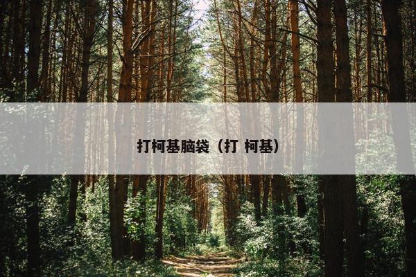 打柯基脑袋（打 柯基）