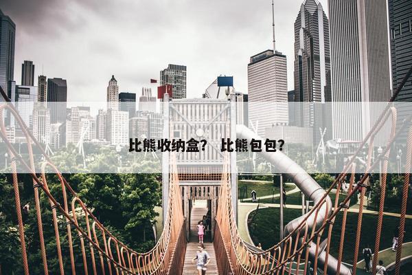 比熊收纳盒？ 比熊包包？