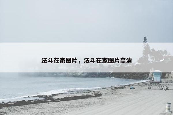 法斗在家图片，法斗在家图片高清