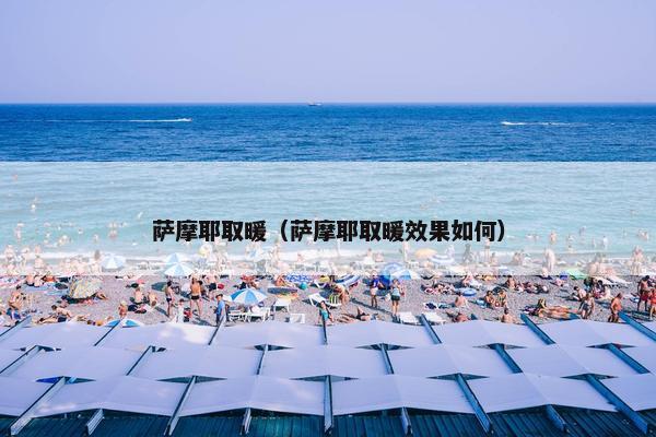 萨摩耶取暖（萨摩耶取暖效果如何）