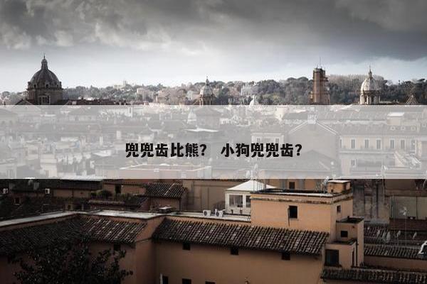 兜兜齿比熊？ 小狗兜兜齿？