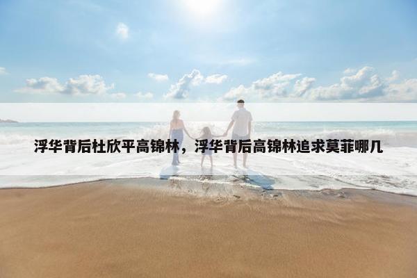 浮华背后杜欣平高锦林，浮华背后高锦林追求莫菲哪几