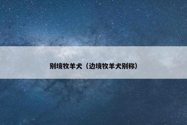 别境牧羊犬（边境牧羊犬别称）