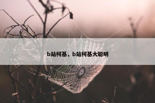b站柯基，b站柯基大聪明