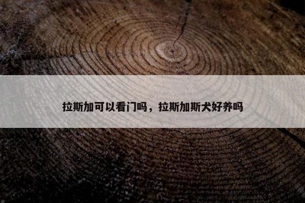 拉斯加可以看门吗，拉斯加斯犬好养吗