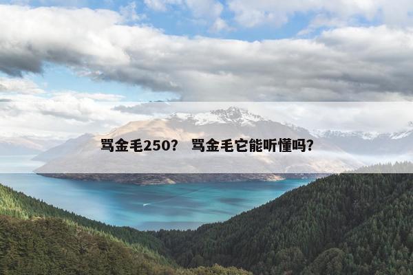 骂金毛250？ 骂金毛它能听懂吗？