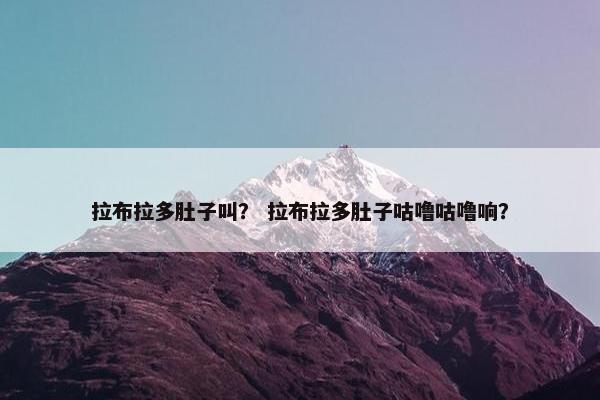 拉布拉多肚子叫？ 拉布拉多肚子咕噜咕噜响？