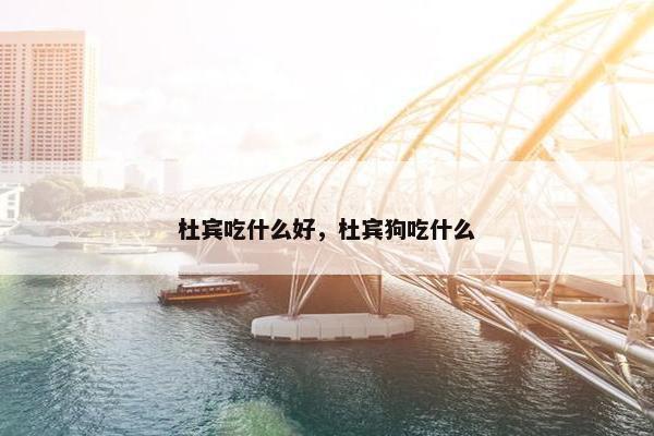 杜宾吃什么好,杜宾狗吃什么 杜宾吃什么好,杜宾狗吃什么