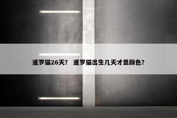 暹罗猫26天？ 暹罗猫出生几天才显颜色？