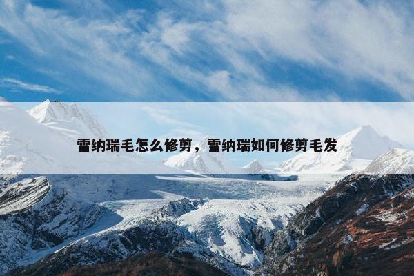 雪纳瑞毛怎么修剪，雪纳瑞如何修剪毛发