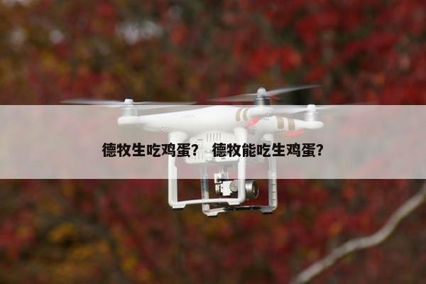 德牧生吃鸡蛋？ 德牧能吃生鸡蛋？