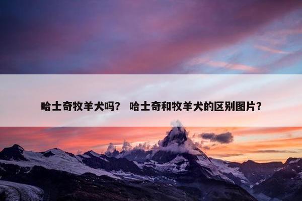 哈士奇牧羊犬吗？ 哈士奇和牧羊犬的区别图片？