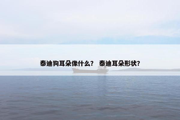 泰迪狗耳朵像什么？ 泰迪耳朵形状？