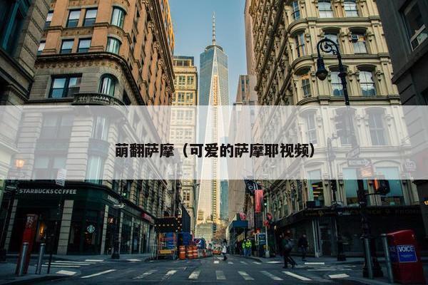 萌翻萨摩（可爱的萨摩耶视频）