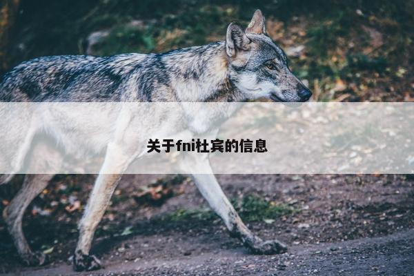 关于fni杜宾的信息