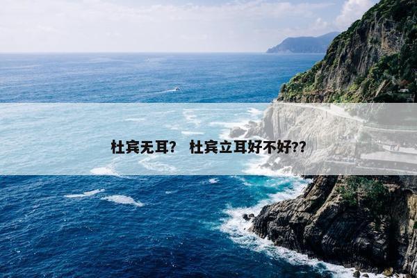 杜宾无耳？ 杜宾立耳好不好?？
