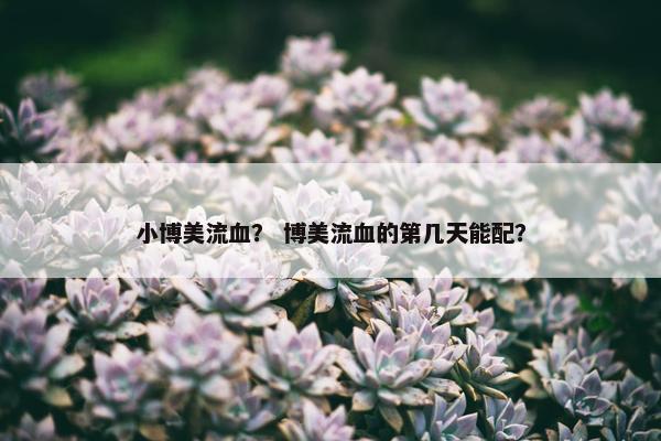 小博美流血？ 博美流血的第几天能配？
