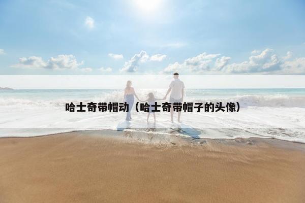 哈士奇带帽动（哈士奇带帽子的头像）