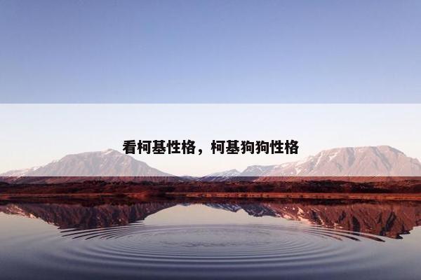 看柯基性格，柯基狗狗性格