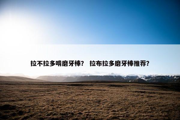 拉不拉多啃磨牙棒？ 拉布拉多磨牙棒推荐？