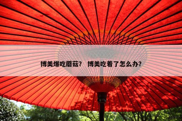 博美爆吃蘑菇？ 博美吃着了怎么办？