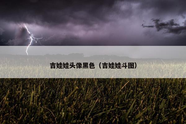 吉娃娃头像黑色（吉娃娃斗图）