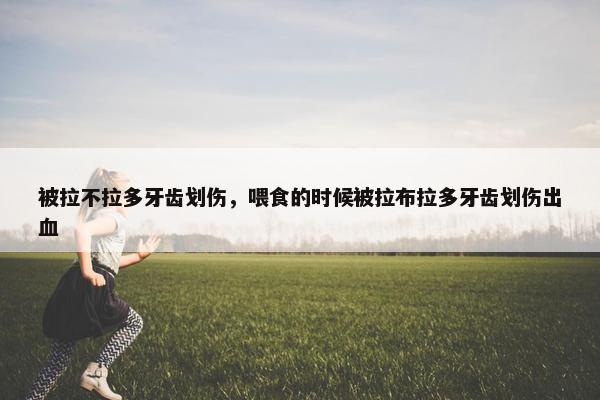 被拉不拉多牙齿划伤,喂食的时候被拉布拉多牙齿划伤出血 被拉不拉多牙齿划伤,喂食的时候被拉布拉多牙齿划伤出血