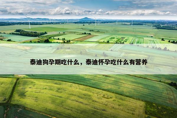 泰迪狗孕期吃什么，泰迪怀孕吃什么有营养